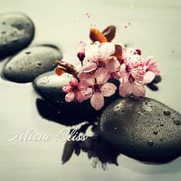 Echoes of Spa Bliss - Alicia Bliss