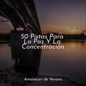 50 Pistas Para La Paz Y La Concentración - Instrumental