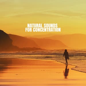 Natural Sounds for Concentration - Rain Sounds & White Noise