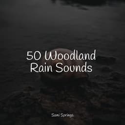 50 Woodland Rain Sounds - Sleep Makers Samples