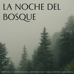 La Noche Del Bosque: Grillos Y Serdenatas Ambientales Para Gatos Curiosos - Sonidos Del Bosques