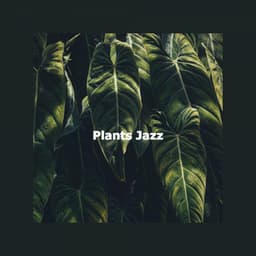 Plants Jazz - Musique de Restaurant