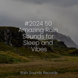 #2024 50 Amazing Rain Sounds for Sleep and Vibes - Calming Waves