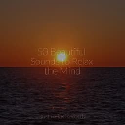 50 Beautiful Sounds to Relax the Mind - Shakuhachi Sakano