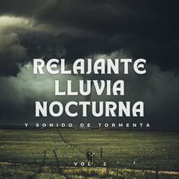 Ambiente De Lluvia Y Viento Para Un Sueño Relajante Vol. 2 - Lluvia Para Dormir Mejor