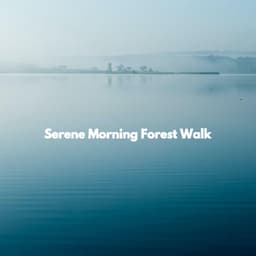Serene Morning Forest Walk - Deluxe Elevator Music