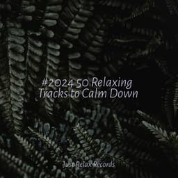 #2024 50 Relaxing Tracks to Calm Down - Sonido Del Bosque y Naturaleza