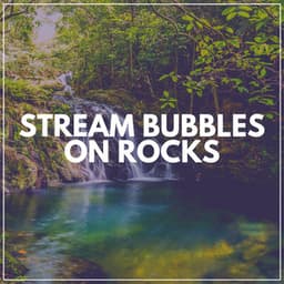 Stream Bubbles on Rocks - Water Spa