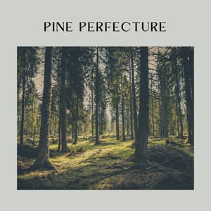 Pine Perfecture - Sounds of Nature Noise
