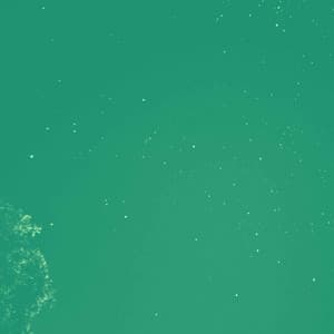 Bgm for Evening Time - Fine Dining Music