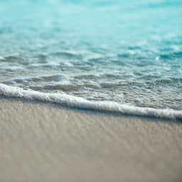 An Essential Healing Collection | Sleep - Academia de Meditação Buddha