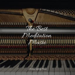 Soft Music to Soothe the Soul - Instrumental Piano Universe