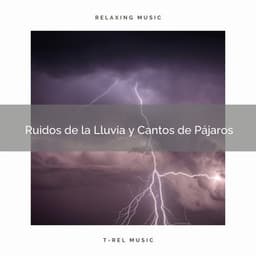 1 Ruidos de la Lluvia y Cantos de Pájaros - Academia de Música con Sonidos de la Naturaleza