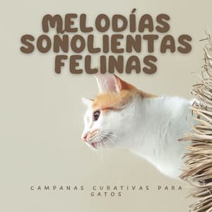Melodías Soñolientas Felinas: Campanas Curativas Para Gatos - Reiki y Tai Chi Armonía