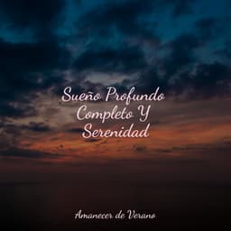 Sueño Profundo Completo Y Serenidad - Relajación Meditar Academie