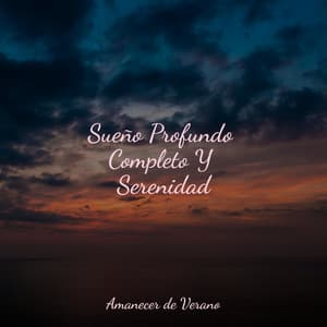 Sueño Profundo Completo Y Serenidad - Relajación Meditar Academie