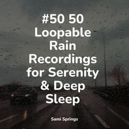 #50 50 Loopable Rain Recordings for Serenity & Deep Sleep - Ambient Arena