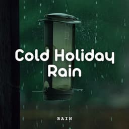 Rain: Cold Holiday Rain - 101 Nature