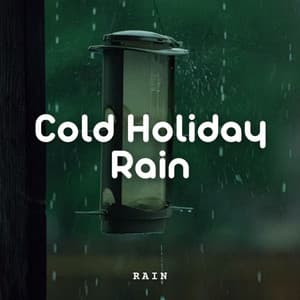 Rain: Cold Holiday Rain - 101 Nature