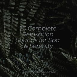 50 Complete Relaxation Sounds for Spa & Serenity - Powerthoughts Meditation Club