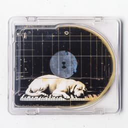 In the Moment - Reiki for Animals