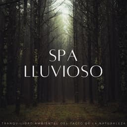 Spa Lluvioso: Tranquilidad Ambiental Del Tacto De La Naturaleza - Sonidos De Lluvia