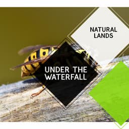 Under the Waterfall - Natural Lands - Sleepy Times