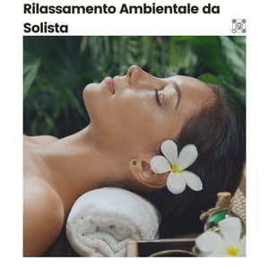 Rilassamento Ambientale da Solista - Música Ambiente