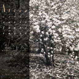 Mélodie Passagère - Alice