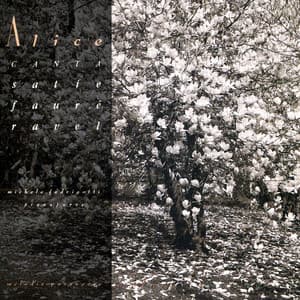 Mélodie Passagère - Alice