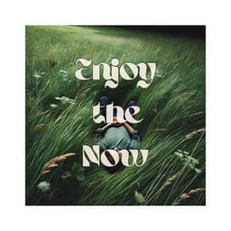 Enjoy the Now - Relaxing Zen Music Therapy