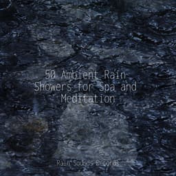 50 Ambient Rain Showers for Spa and Meditation - Weather Factory