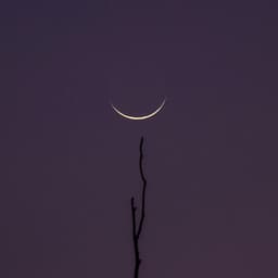 10PM Dreams: Ascending Frontiers - Calm Music