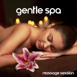 Gentle Spa Massage Session - Spiritual Momentum