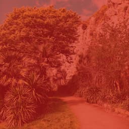 Cultured Ambiance for Taking Notes - Easy Listening Soft Jazz