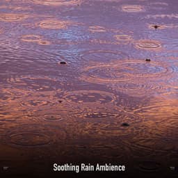 !!!!" Soothing Rain Ambience "!!!! - Sonidos De Truenos y Lluvia