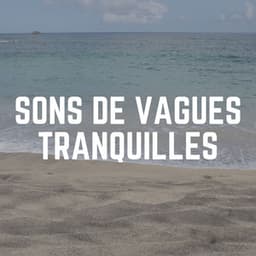 Sons de Vagues Tranquilles - Vagues Dans La Mer
