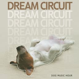 Dream Circuit - Dog Music Hour