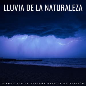 Lluvia De La Naturaleza: Viendo Por La Ventana Para La Relajación - Ritmo de hip-hop lofi