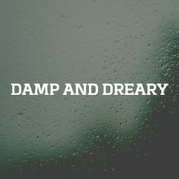 Damp and Dreary - Loopable Rain Sounds