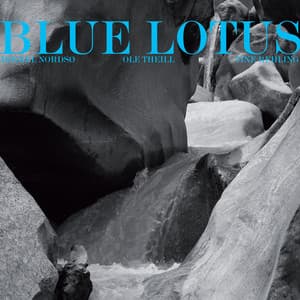Blue Lotus - Mikkel Nordsø