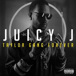 Taylor Gang Forever - Juicy J