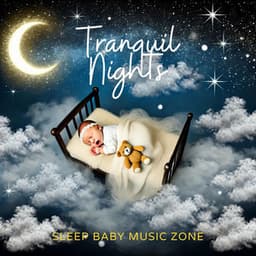 Tranquil Nights: Baby Sleep Lullabies - Sleep Baby Music Zone
