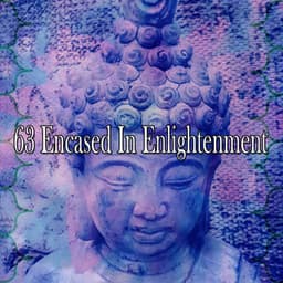 63 Encased In Enlightenment - Exam Study Classical Music Orchestra