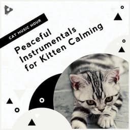 Peaceful Instrumentals for Kitten Calming - Cat Music Hour