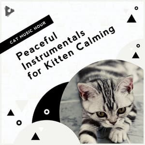 Peaceful Instrumentals for Kitten Calming - Cat Music Hour