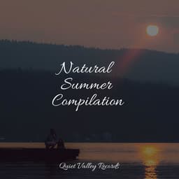 Natural Summer Compilation - Massagem Coleção de Músicas