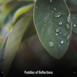 !!!!" Puddles of Reflections "!!!! - Sonidos De Truenos y Lluvia