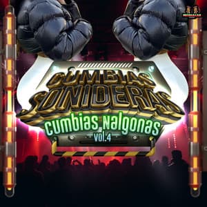 Cumbias Nalgonas Vol. 4 - Cumbias Sonideras