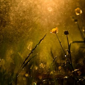 Cosmic Cradle: Chill Music Rain Sleep Aid - Silver Blue Moon